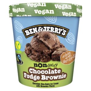 Ben & Jerry's Non Dairy Vegan Chocolate Fudge Brownie